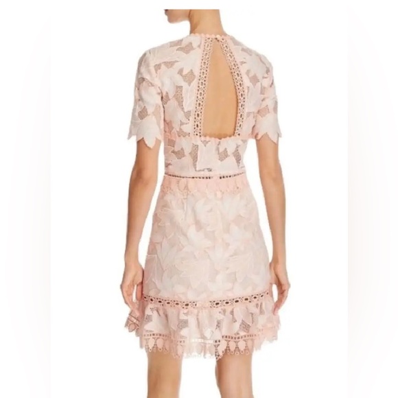 NWT Saylor Birgit Blush Dress - Picture 2 of 5